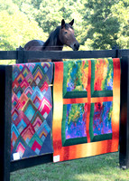 Barnful of Quilts Shpw 2022